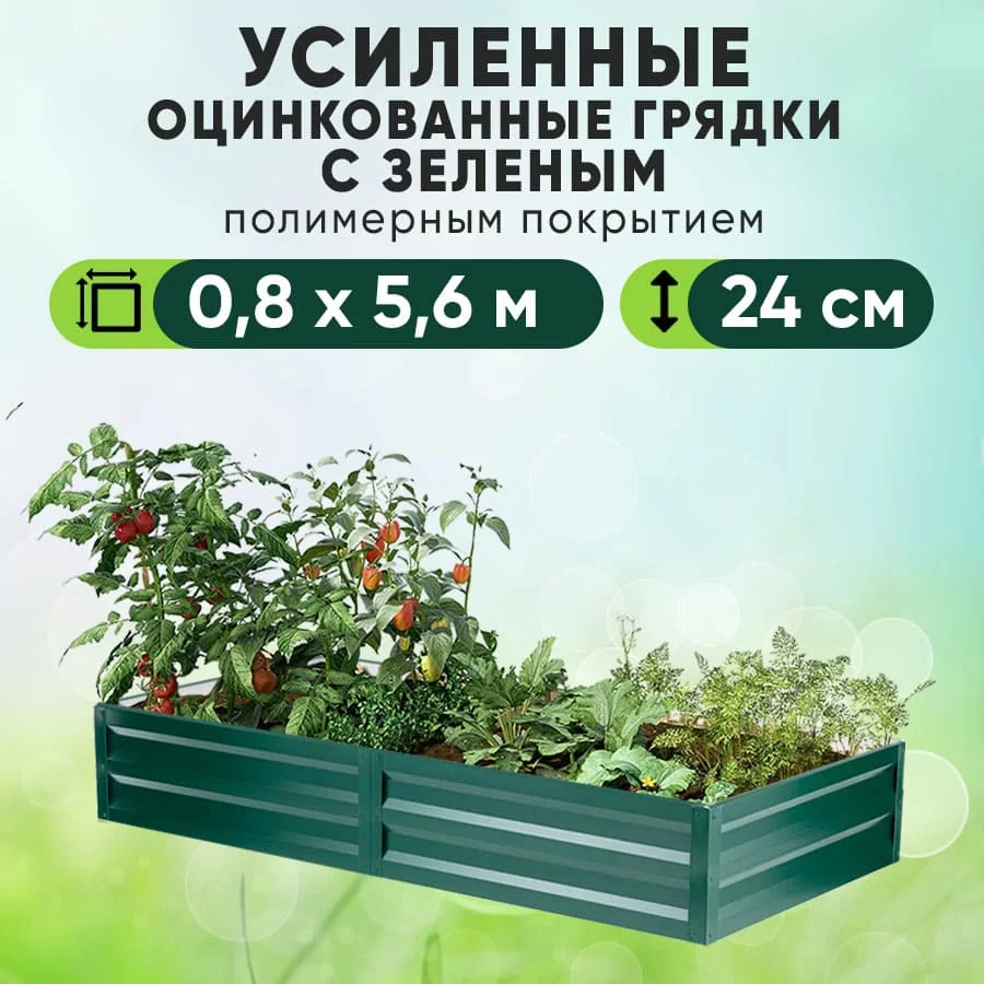 Зеленая усиленная грядка (0,8 х 5,6)