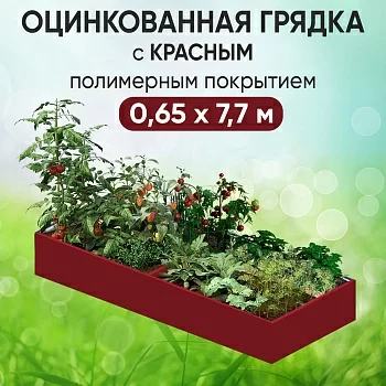 Грядка красная (0,65 х 7,7)